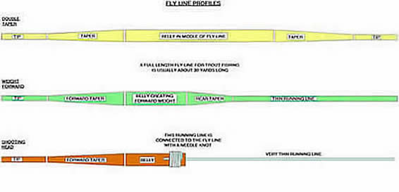 Fly Line Profiles (Click to Enlarge)